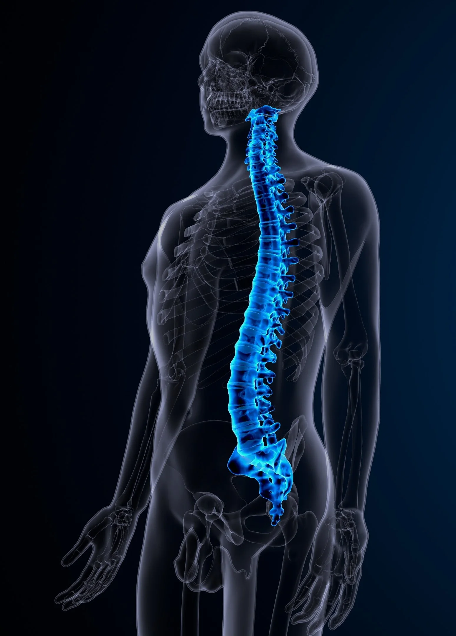 X-ray of a human body showing the skull, spine, and shoulders with the spine highlighted in blue.