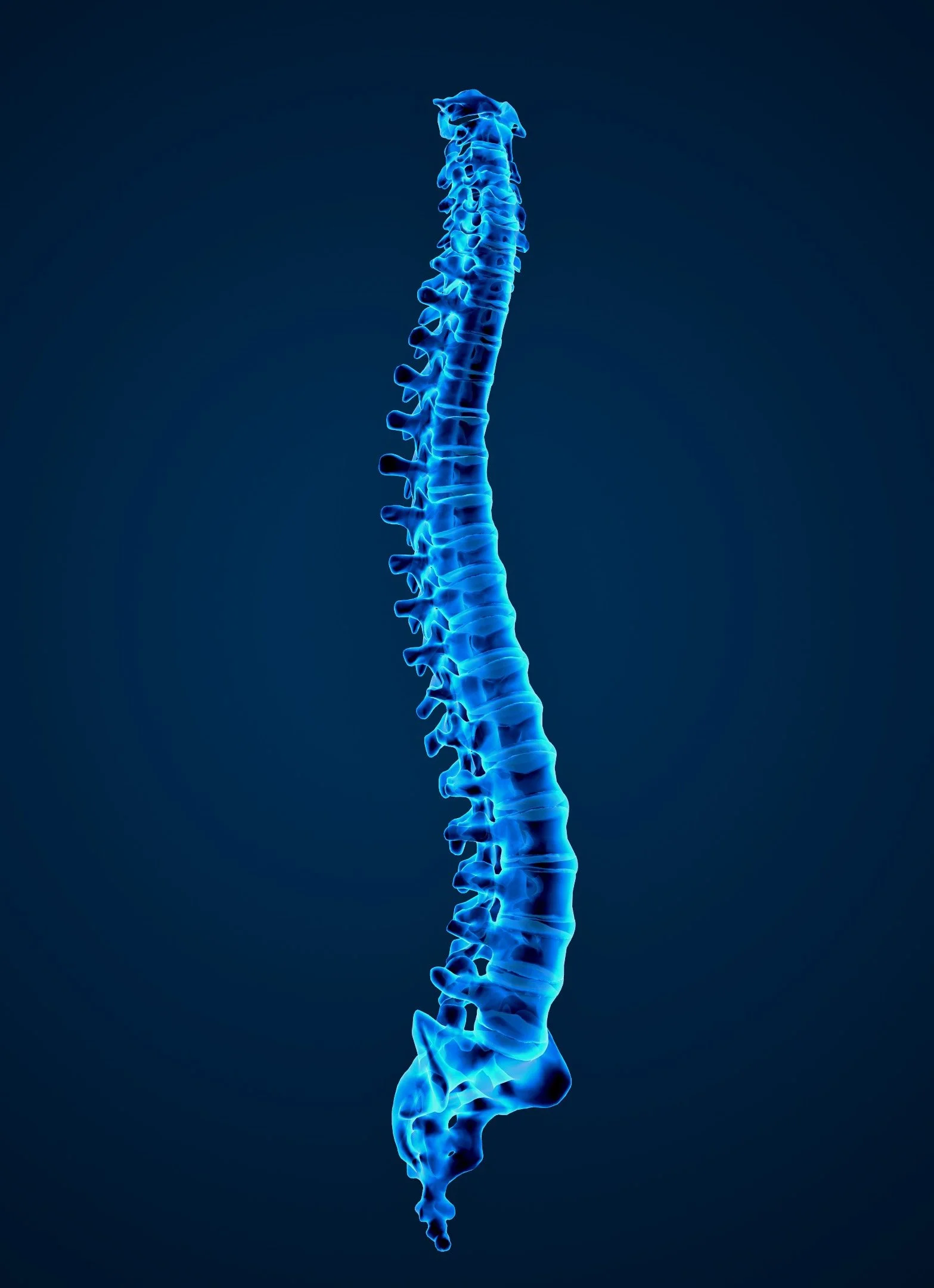 Digital illustration of a human spine in blue, viewed from the side against a dark background.
