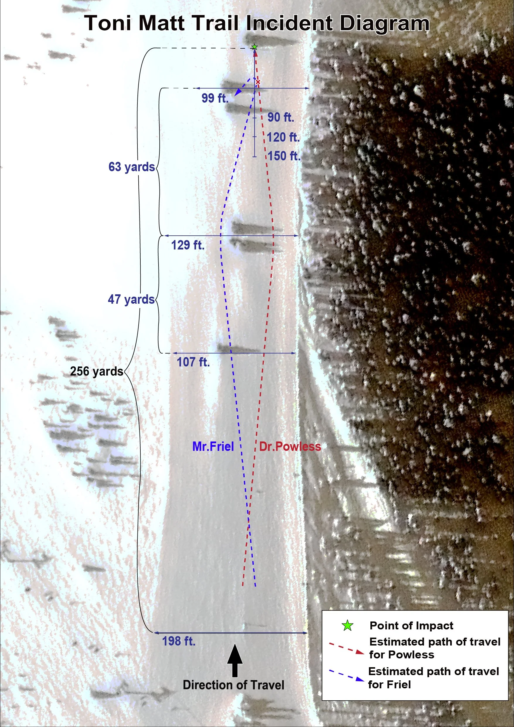 Whitefish_Collision.jpg