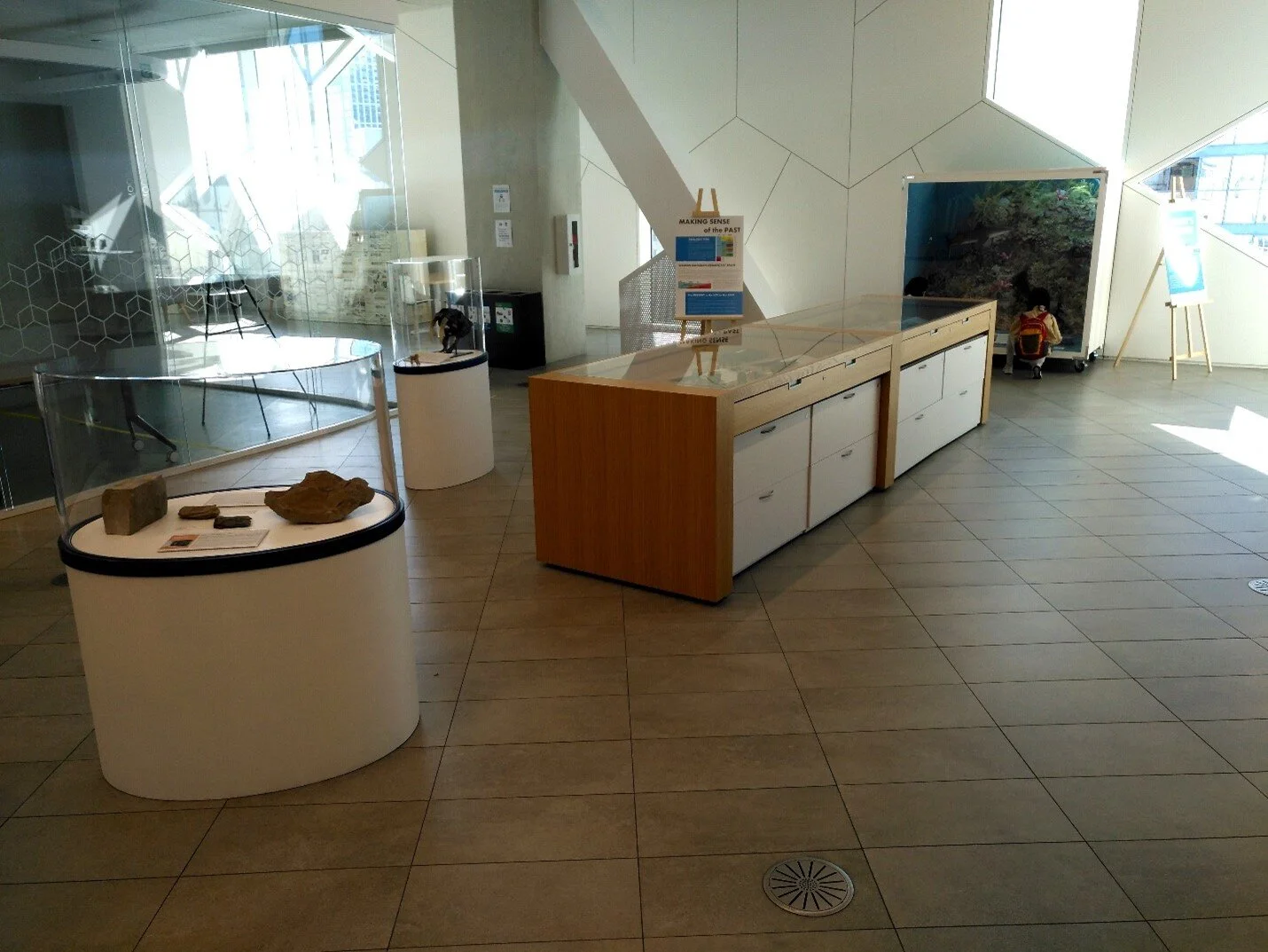 Calgary’s prehiStory exhibit, currently on display at Central Library.