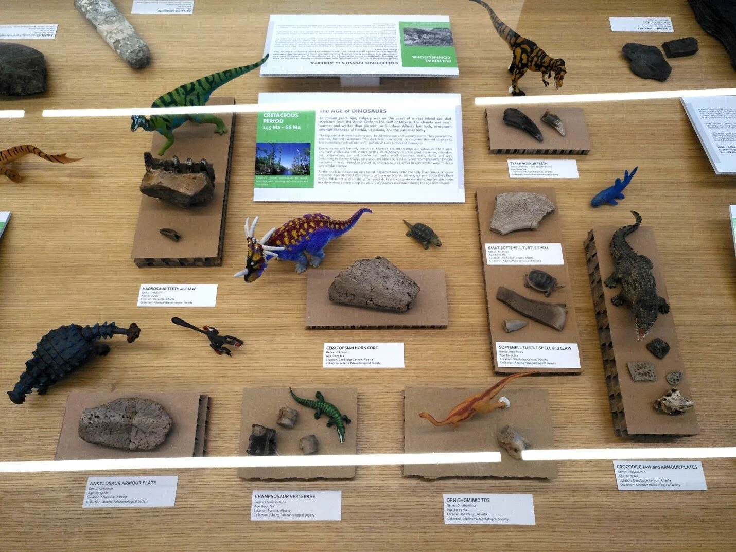 The Age of Dinosaurs section of Calgary’s prehiStory.