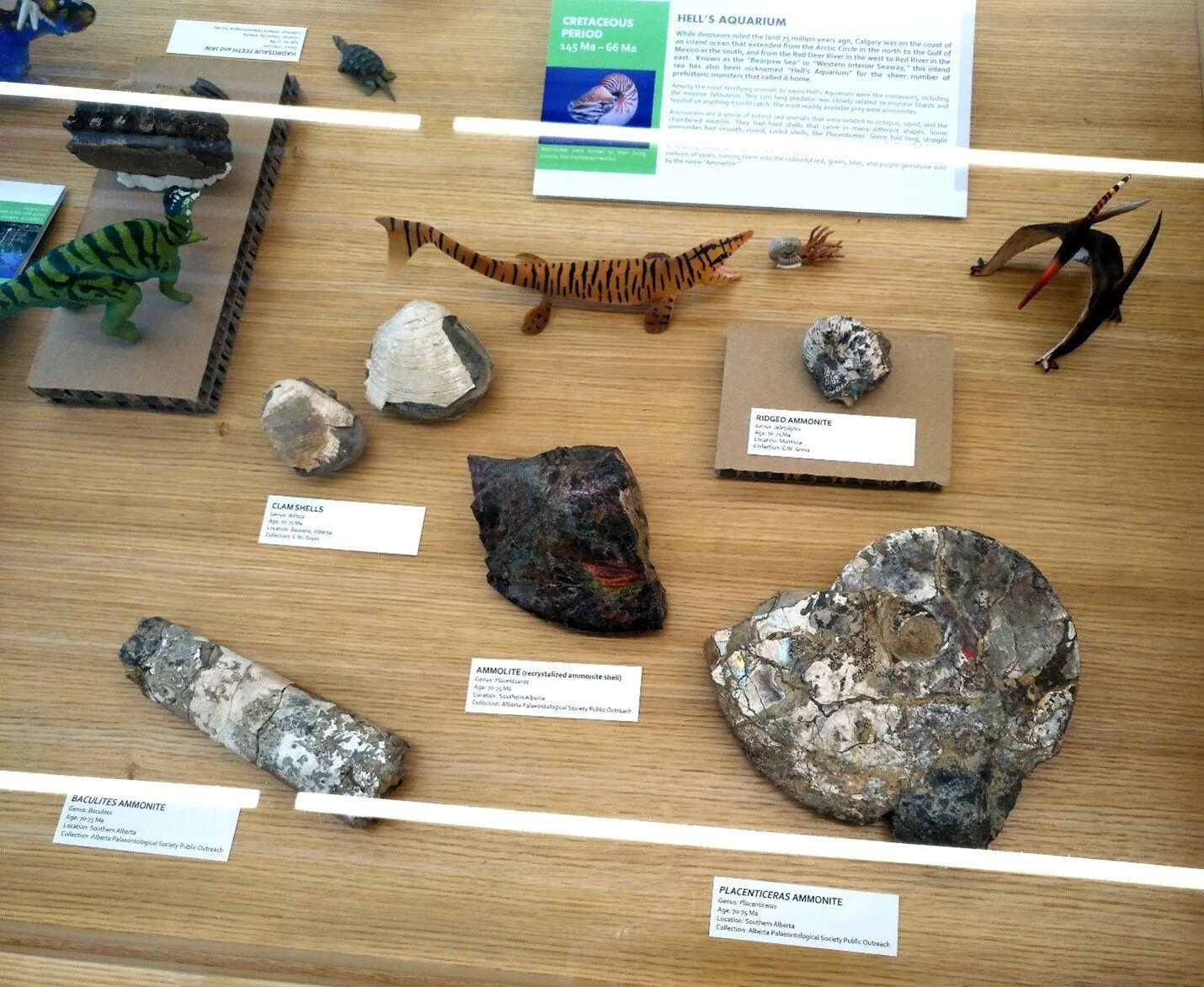 And the Hell’s Aquarium section.
