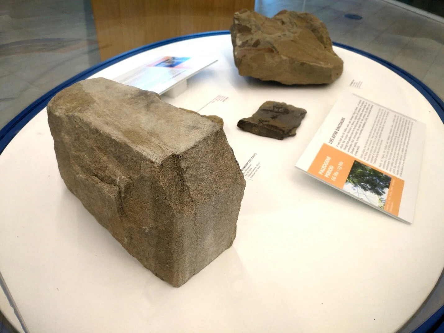 Picture6.jpg