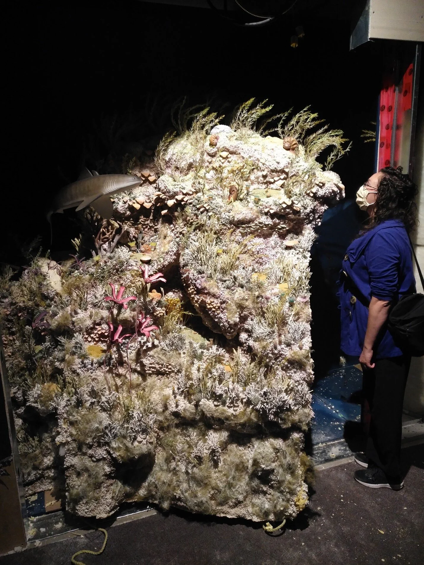 A bittersweet removal of the Devonian Reef that I taught kids about for a decade as an educator at the Glenbow.