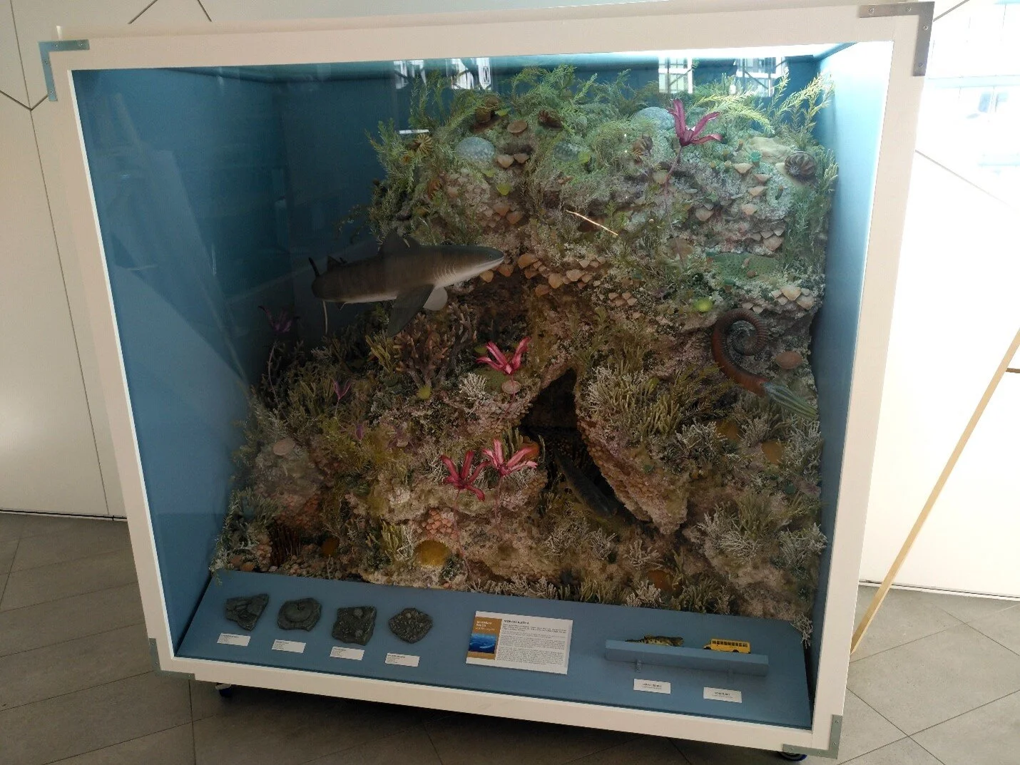 The Devonian Reef upon completion and installation in the Central Library.