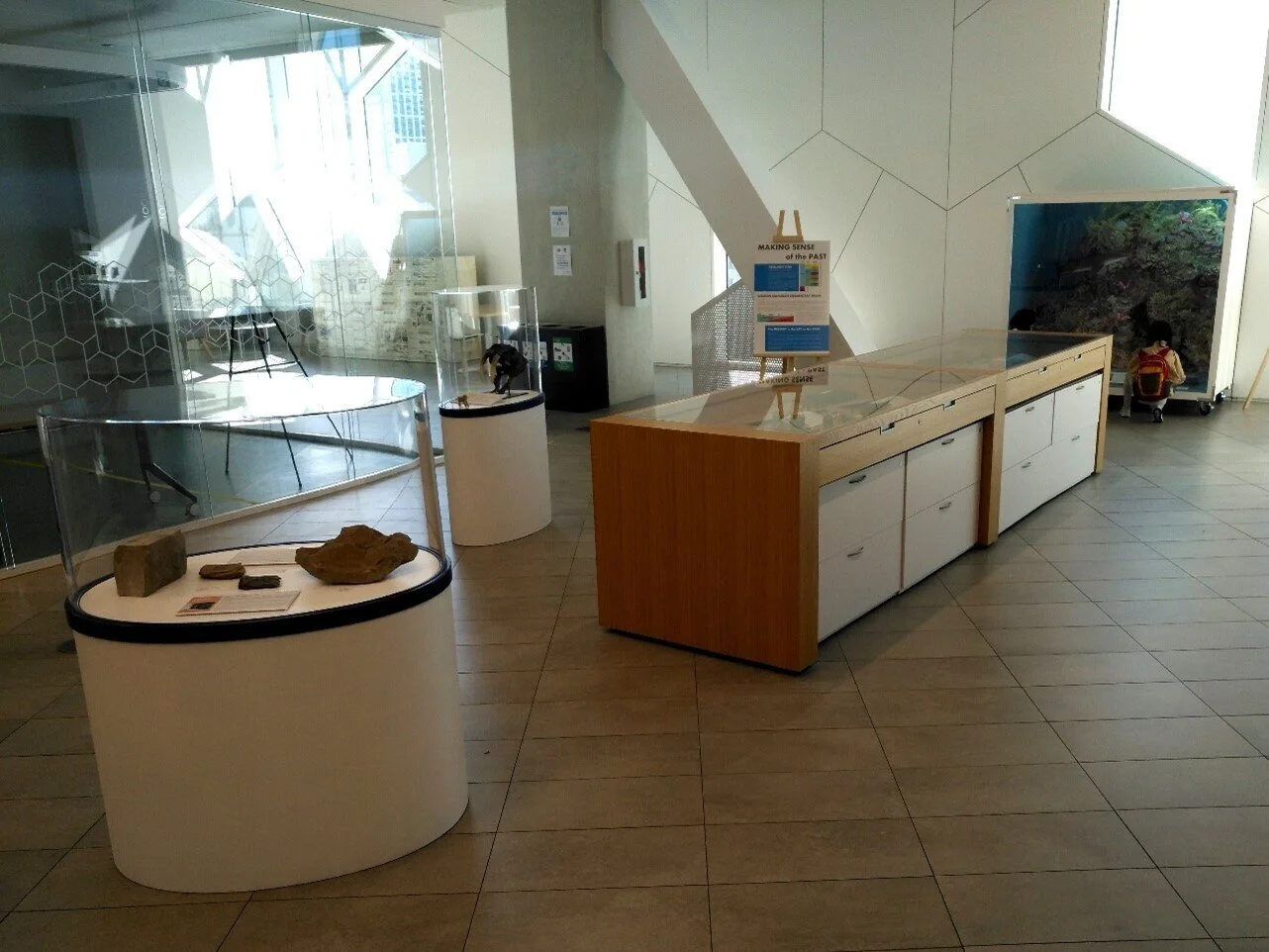 Secrets of Calgary’s prehiStory, the Historian in Residence exhibit at the Central Library