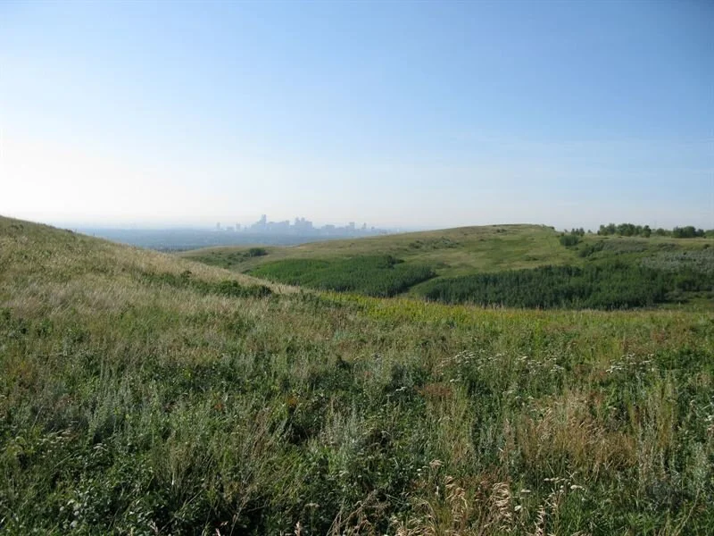 Nose Hill Park. Photo from the Inventory of Evaluated Historic Resources.