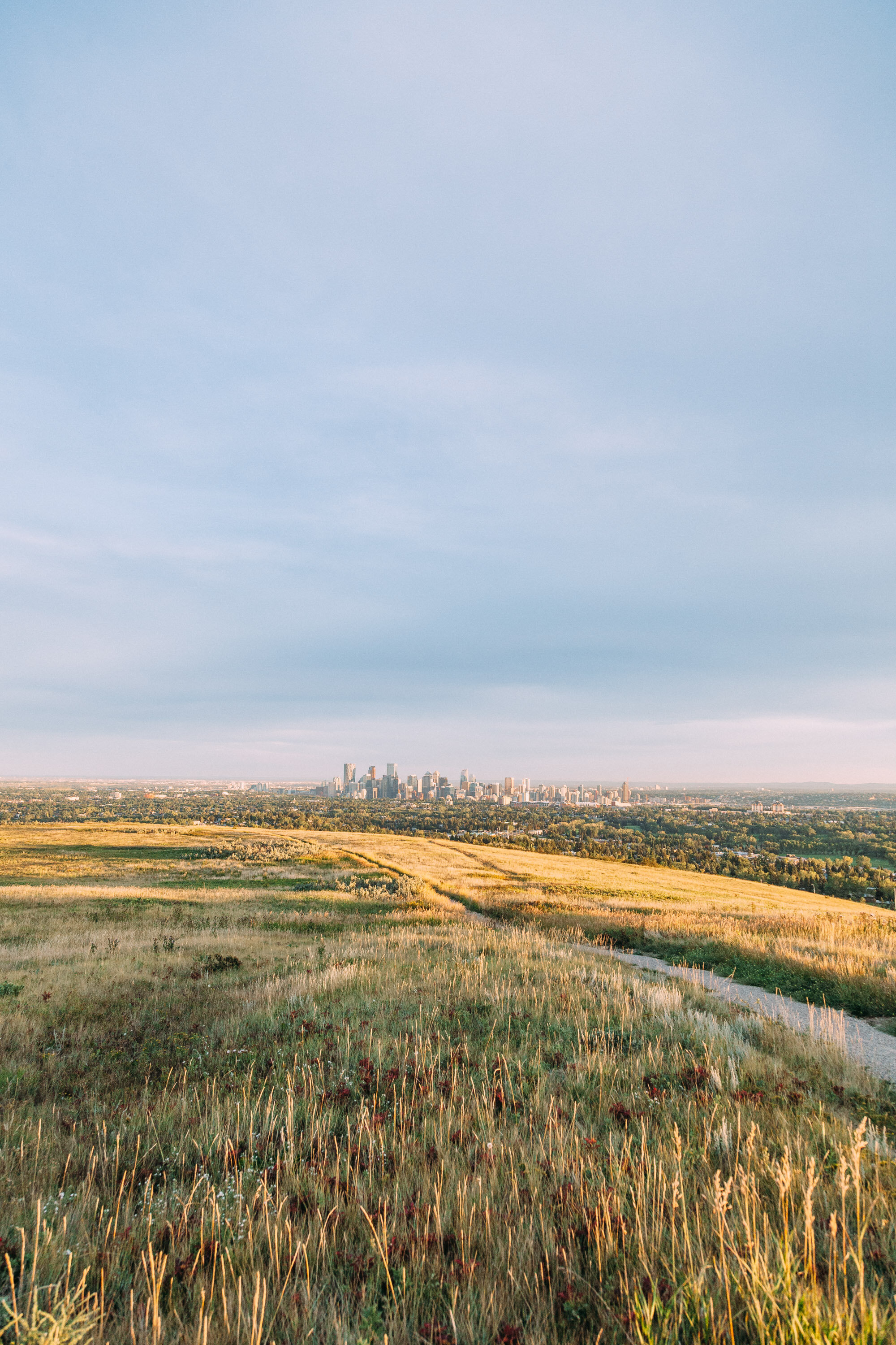 Nose Hill Park Archaeological Resource. Heritage Calgary, 2019.