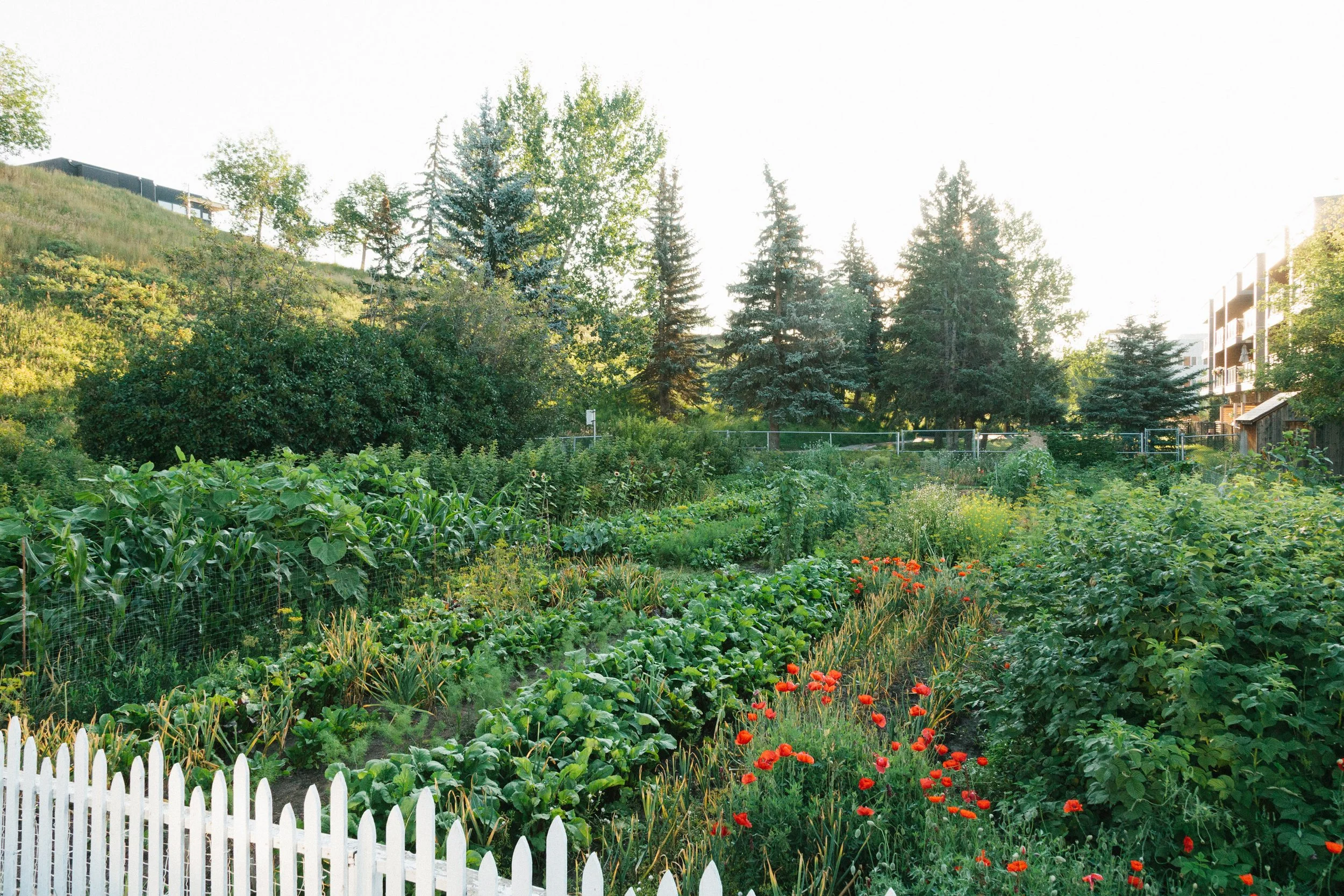 Call for Applications: 2023 Historian in Residence