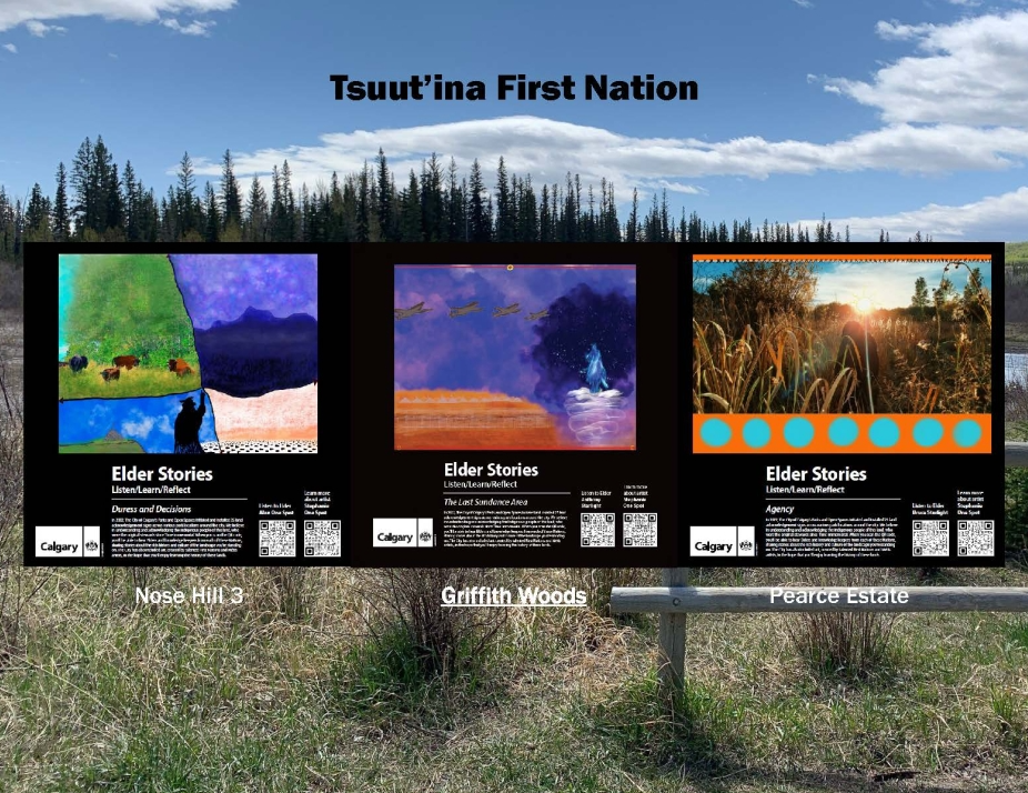 Tsuutinanation.png