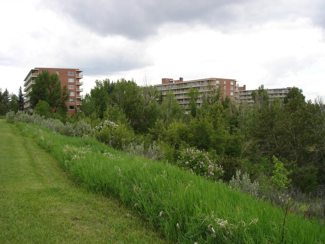 Rideau Towers: l. to r. Rutland House, Cumberland House, Renfrew House. Photo credit: Irena Karshenbaum.&nbsp;