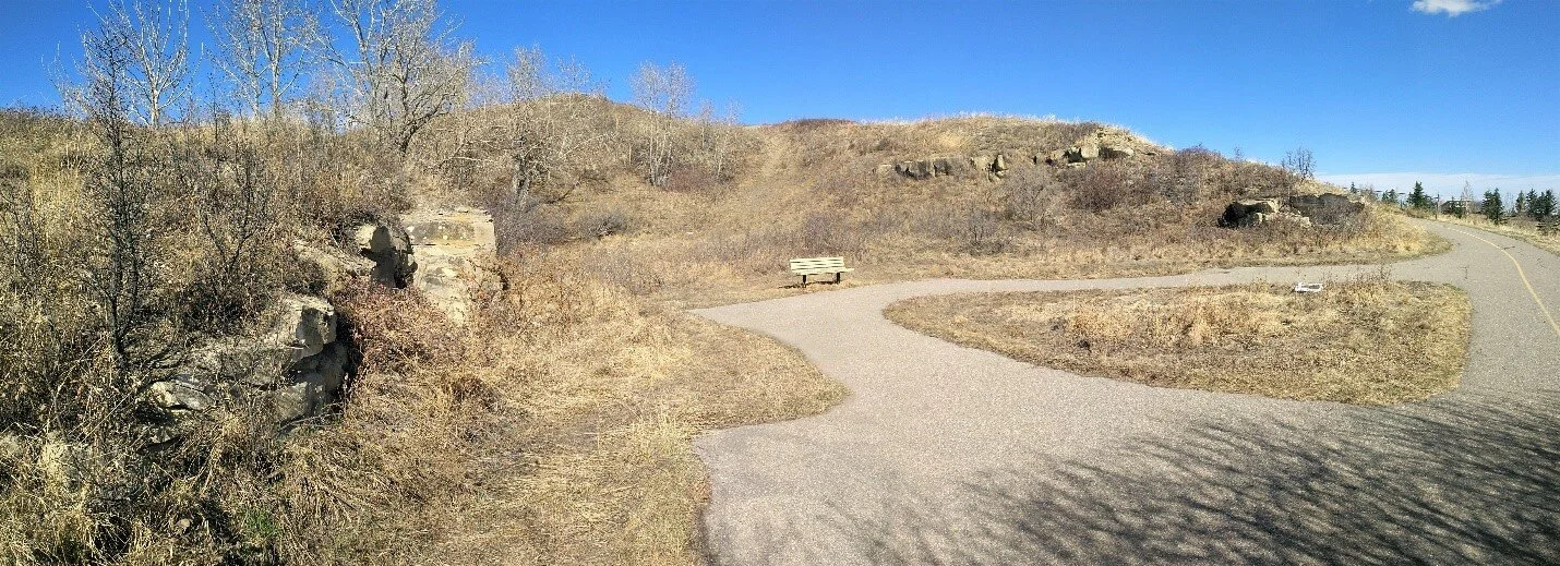The J.A. Lewis Quarry is a turnout on the trail adjacent to Beddington Creek (at 51.147446, -114.089520 on Google Maps). Photo by C.W. Gross.