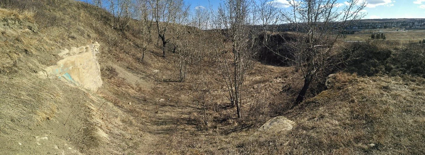 An overview of the rear of the quarry. Photo by C.W. Gross.