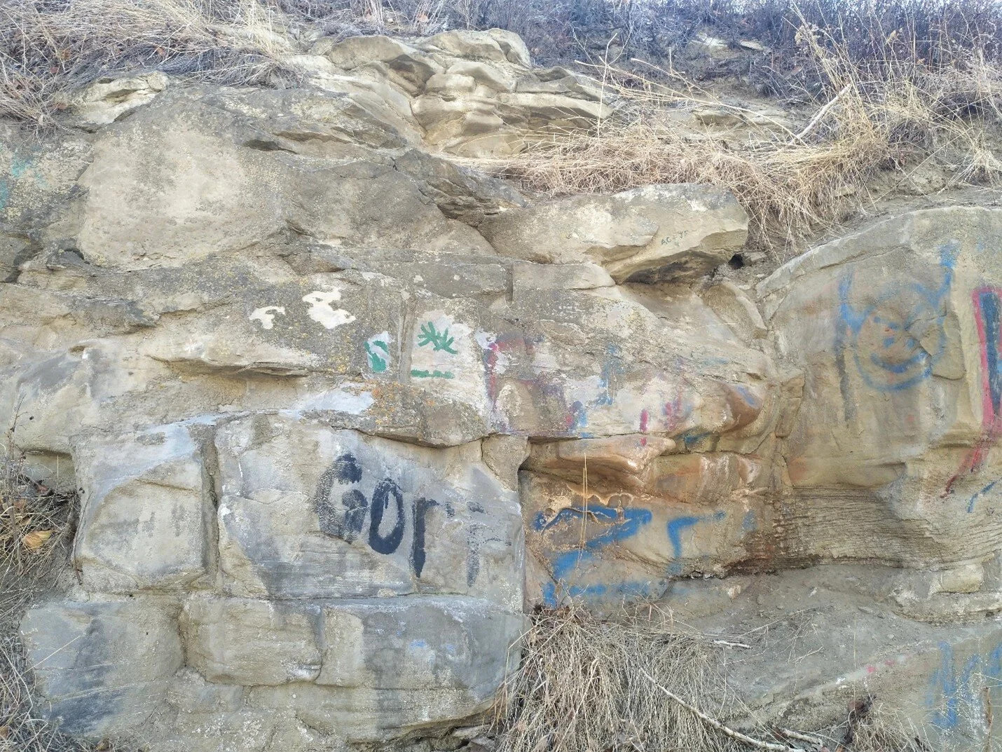 Vertical boreholes in the sandstone are remnants of the quarrying process. Photo by C.W. Gross.
