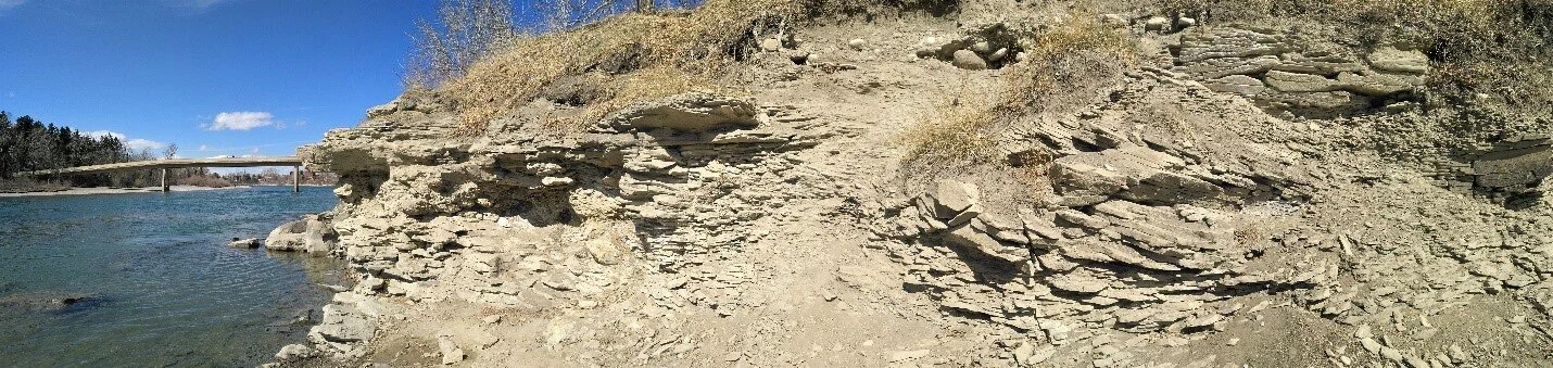 The 64 million year old Scollard Formation outcrop across from Edworthy Park. Photo by C.W. Gross.