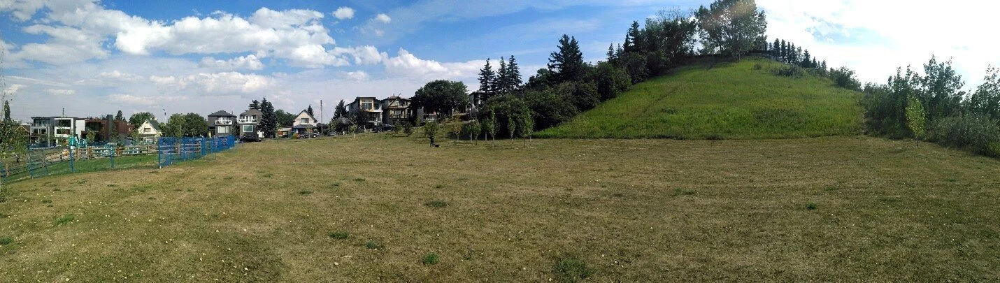 Southern end of the Elbow River Quarry at the Ramsay dog park. Photo: C.W. Gross.