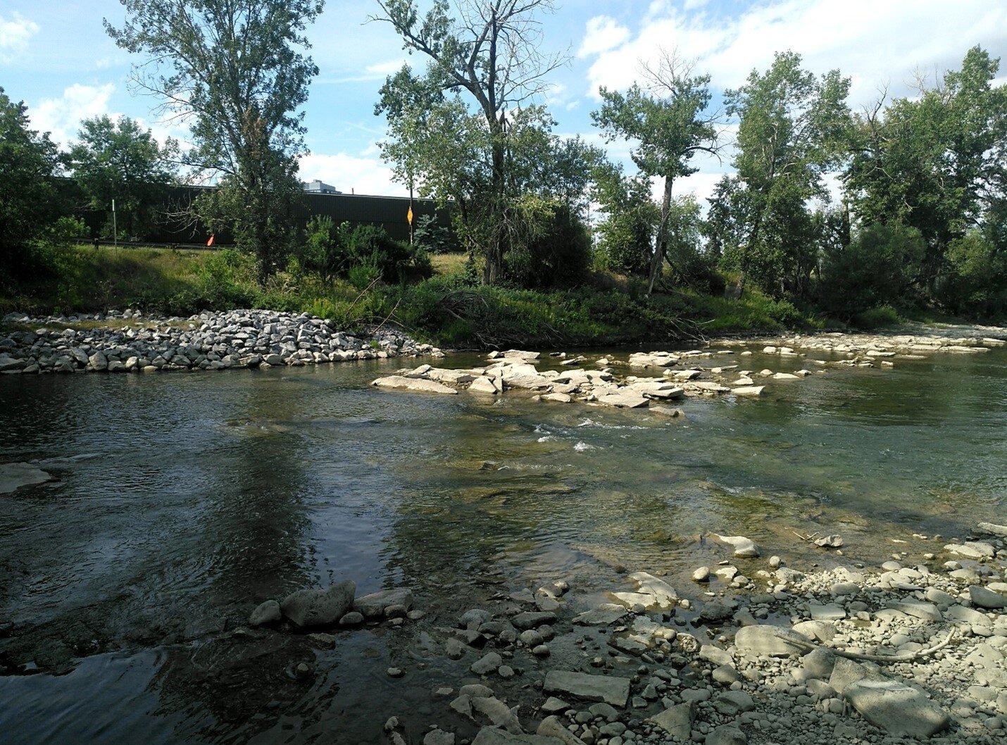 Sandstone bedrock exposed by the Elbow River beneath the Macdonald Ave. bridge shows how productive this residential area once was. Photo: C.W. Gross.