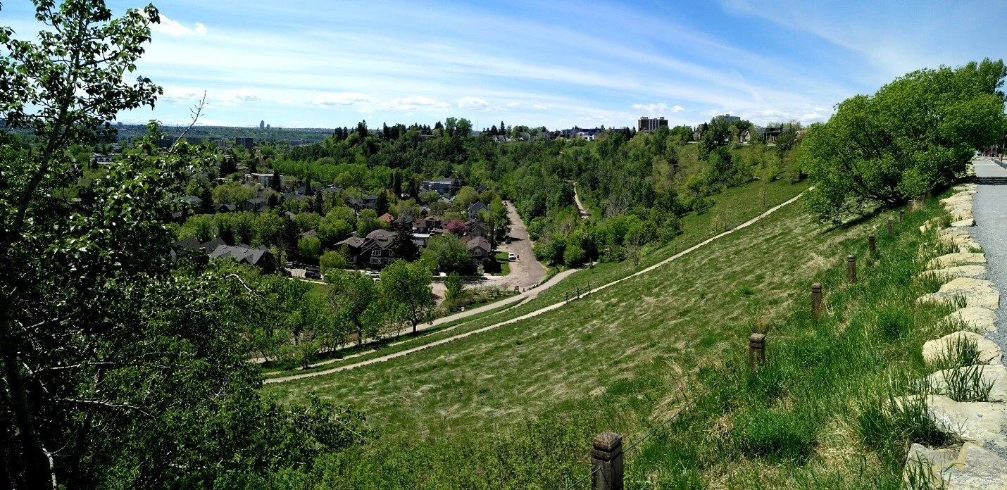 The putative location of the quarry in the treed area at the base of McHugh Bluff. Photo by C.W. Gross.