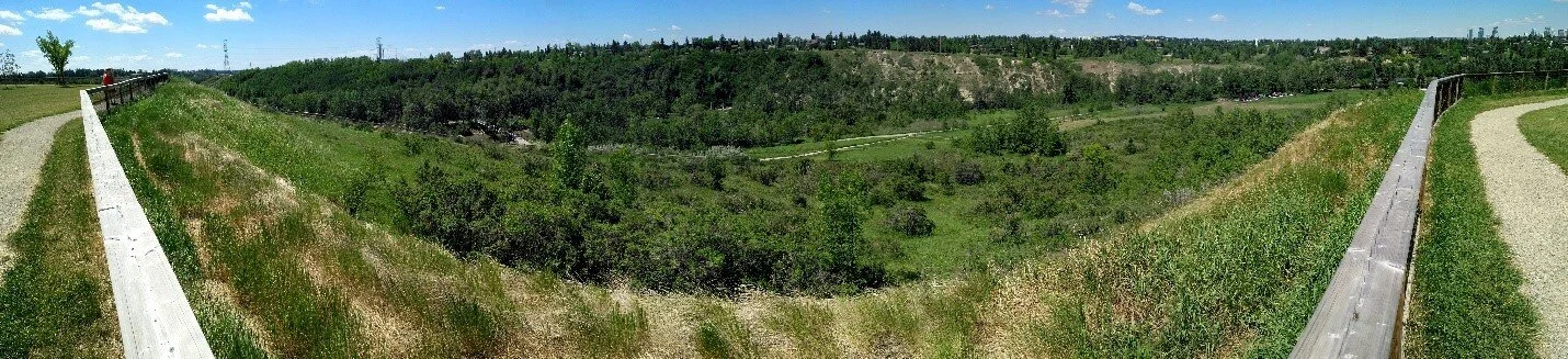 Picture10.jpg