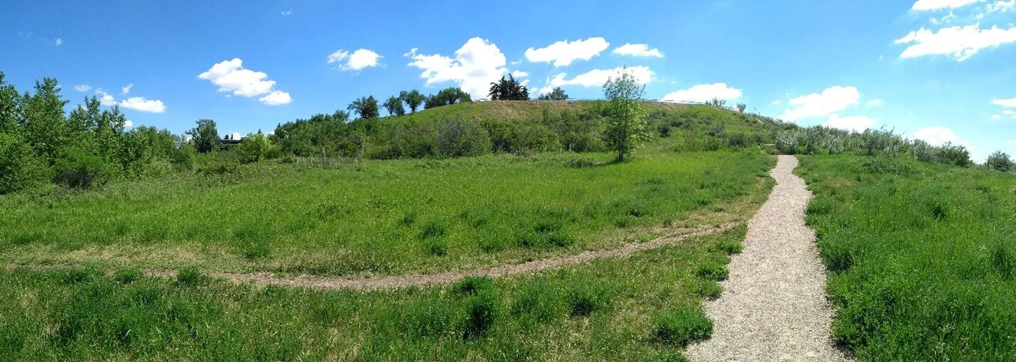 And a view of the former quarry area from below. Photo by C.W. Gross.