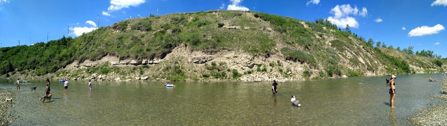 Sandstone outcropping across the Elbow River from the former quarry. Photo by C.W. Gross.