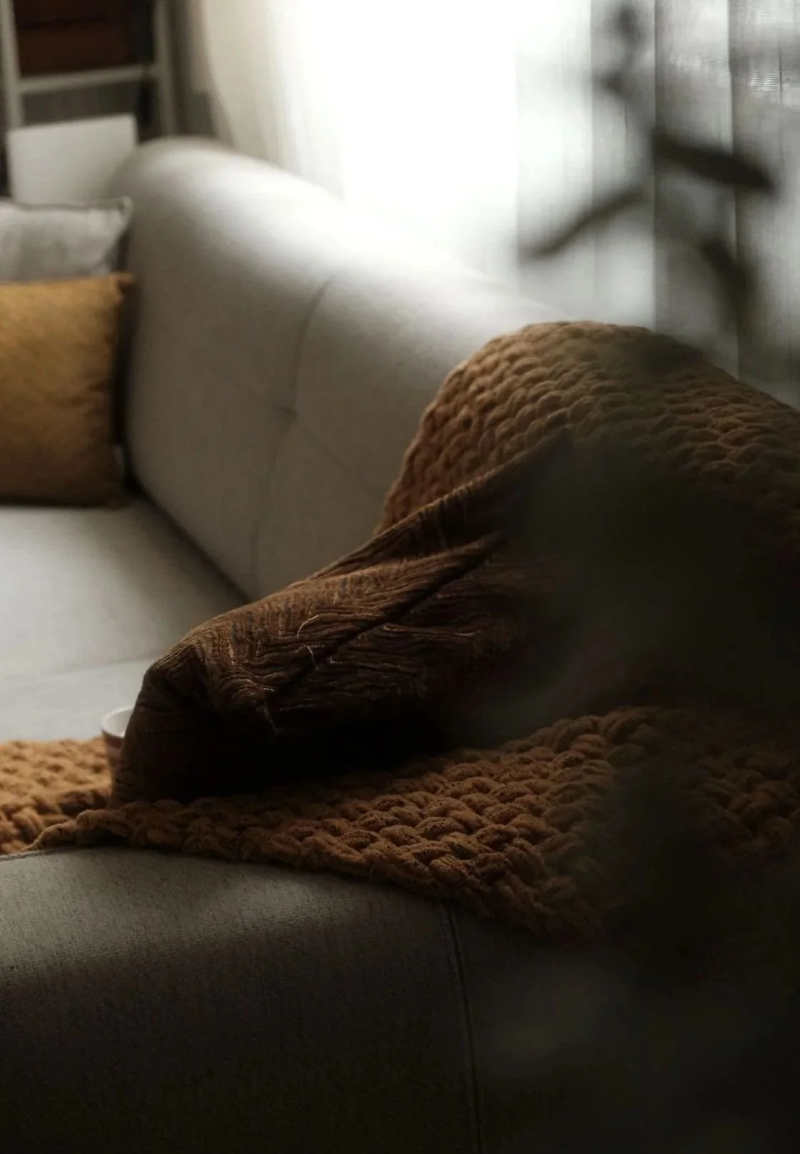 Close-up of a cozy living room couch with brown and mustard-colored pillows and a textured blanket, illuminated by natural light.