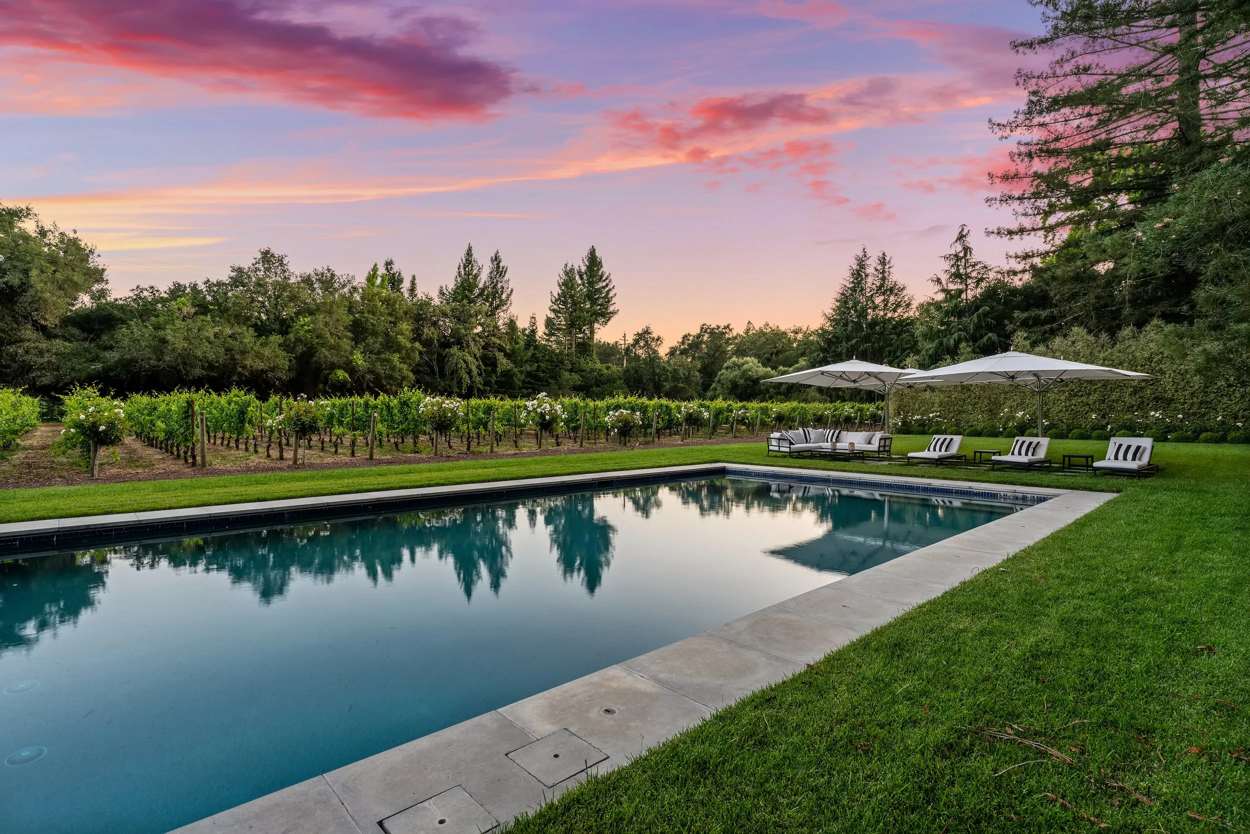 An outdoor swimming pool with clear water, surrounded by a concrete deck and green grass. In the background, there are chairs with black-and-white striped cushions under white umbrellas. Behind the seating area, there is a vineyard with rows of grape