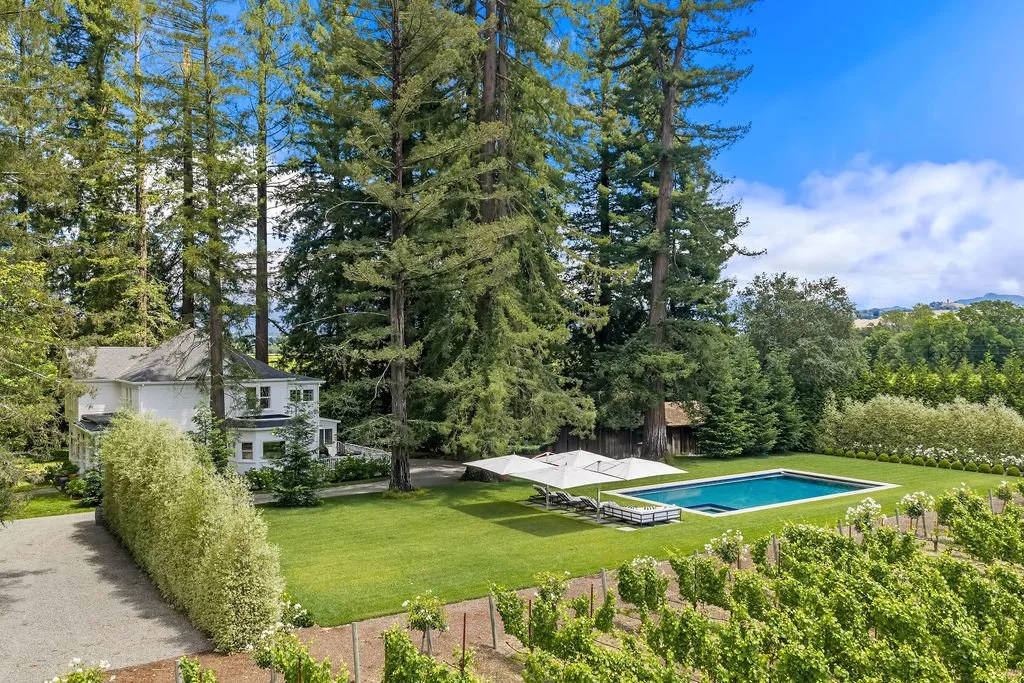 A backyard with a swimming pool, two white umbrellas, lounge chairs, a well-manicured lawn, tall trees, a white house, and a gravel driveway, under a partly cloudy blue sky.