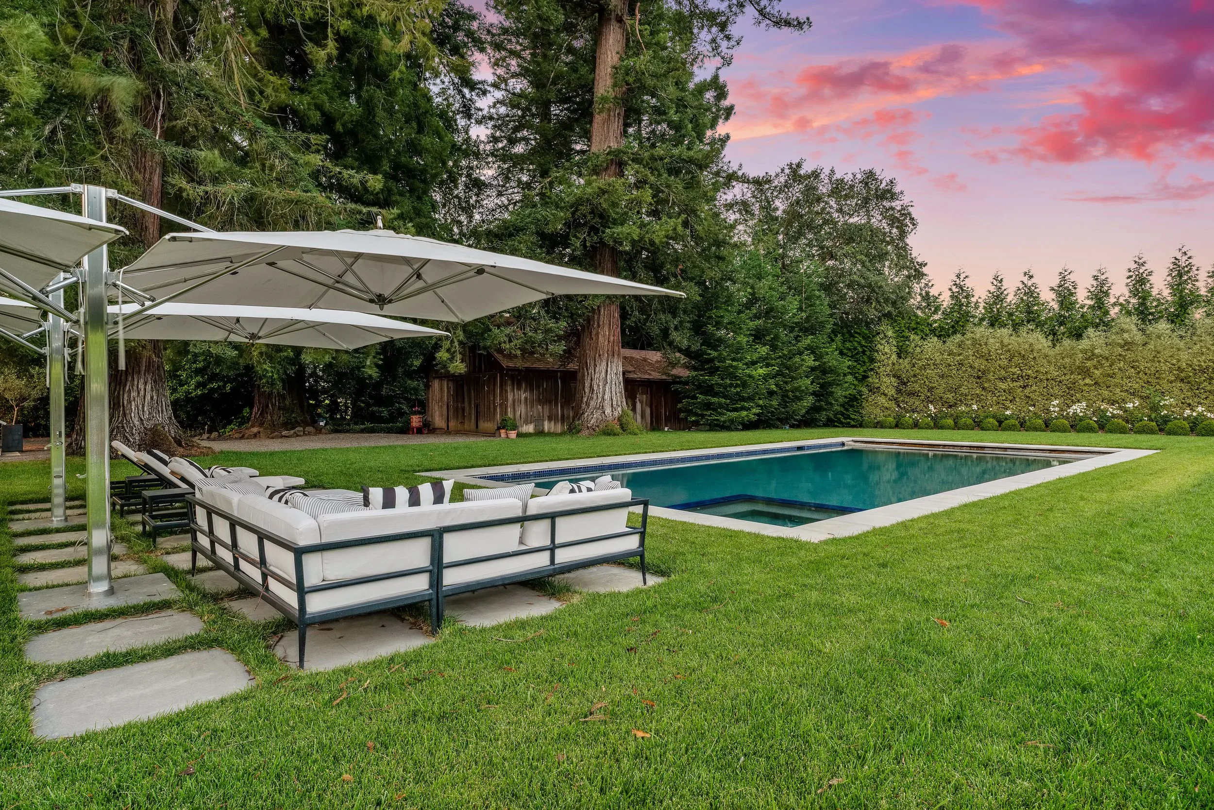 A backyard with a swimming pool, surrounded by green grass, large trees, and a wooden shed. There are lounge chairs with striped cushions, and several white umbrellas providing shade. The sky is pink and purple, indicating sunset.