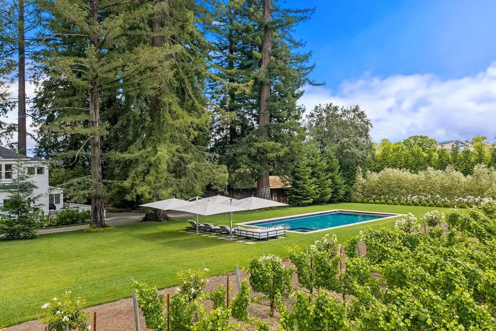 A backyard with a swimming pool, surrounded by green grass, large trees, and a vineyard in the foreground. There are patio umbrellas and lounge chairs next to the pool, with a white house visible on the left and a row of trees in the background.