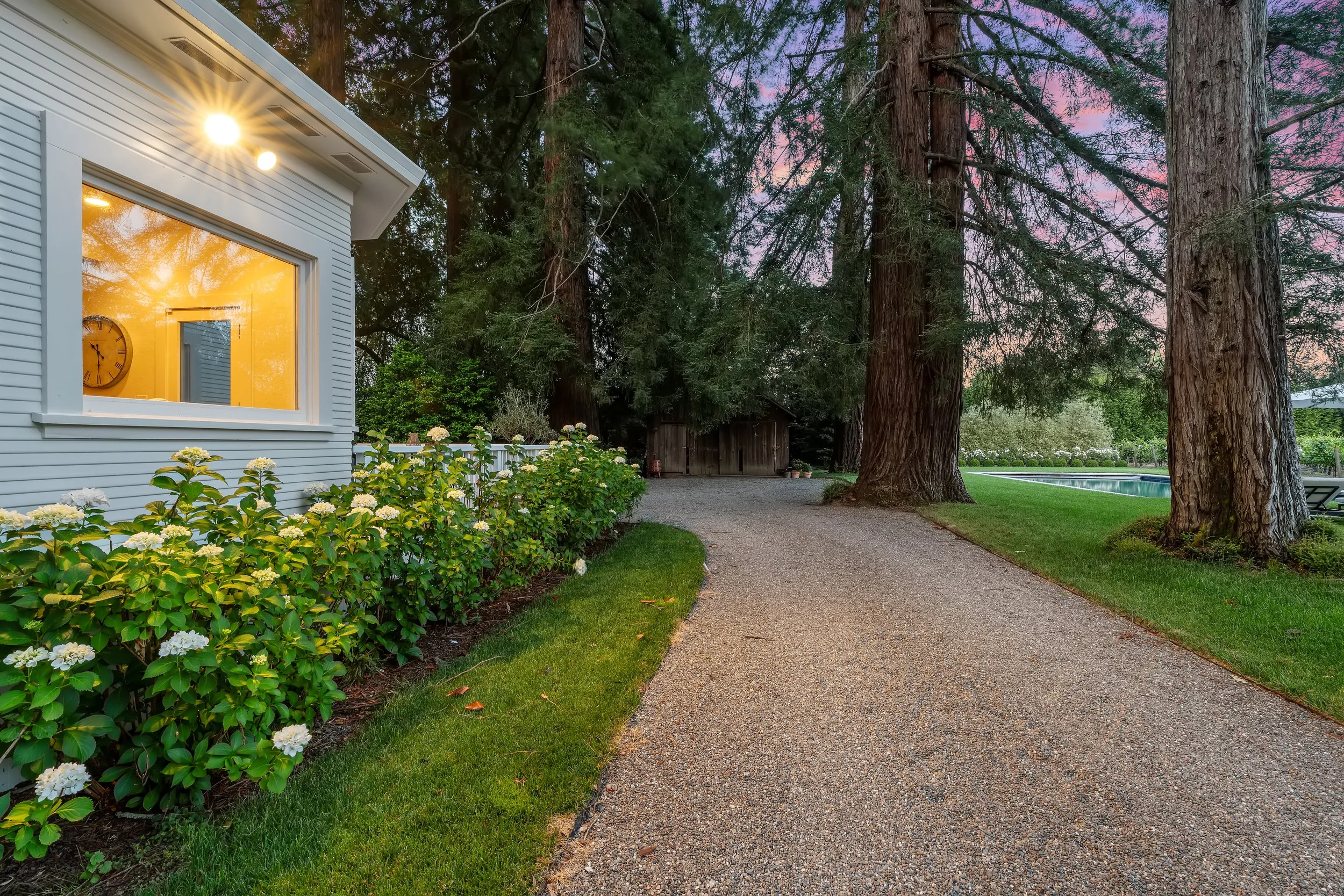 A gravel pathway in a backyard surrounded by green grass, white flowering bushes, tall trees, and a swimming pool. A white house with a window reflects the sunset sky.