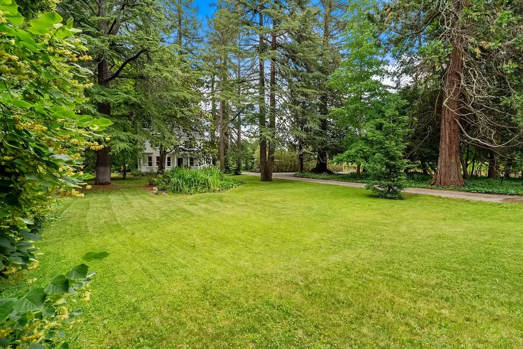 Expansive green lawn with tall trees, bushes, and a house partially visible in the background in a peaceful yard.