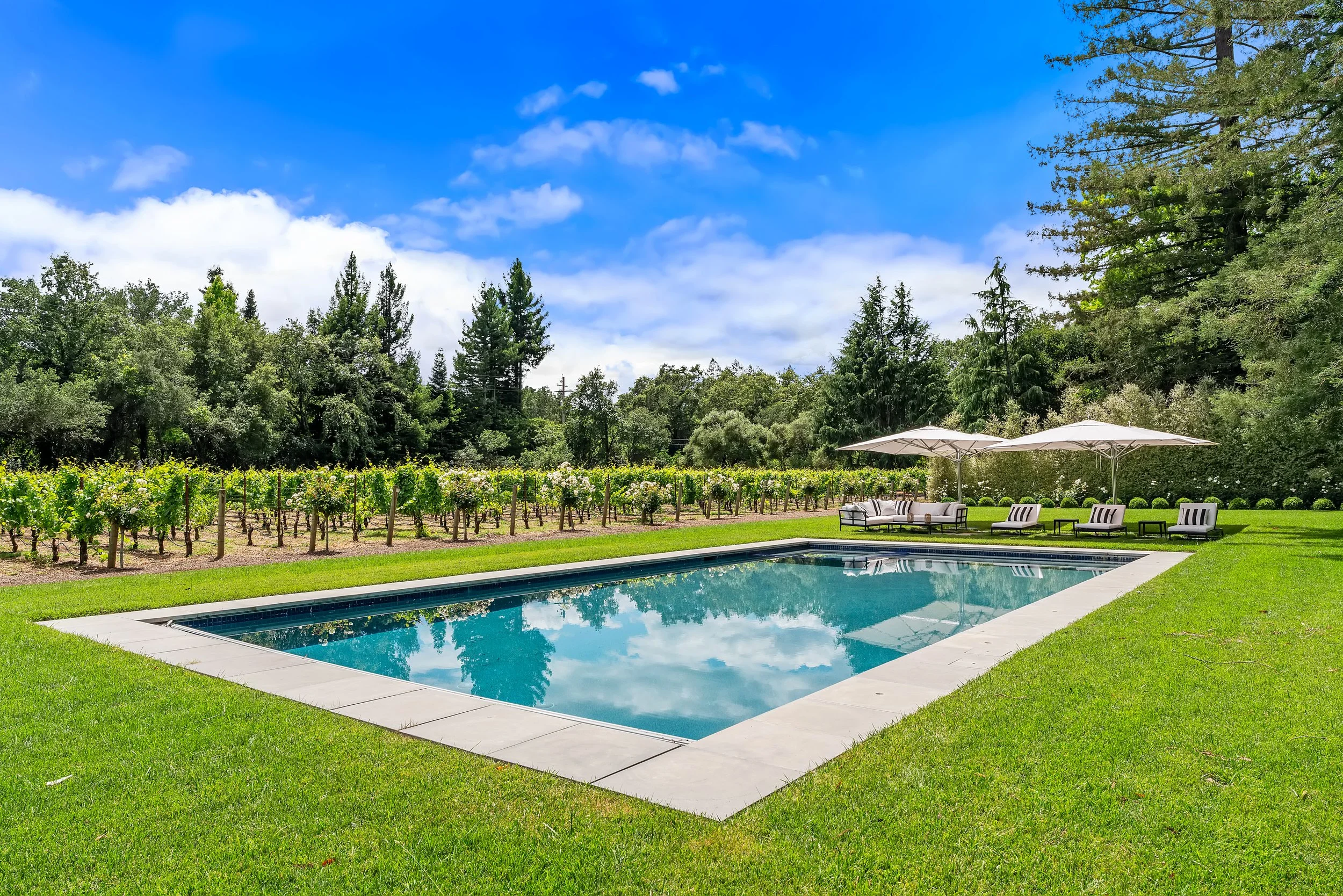 A backyard with a swimming pool, surrounded by green grass and outdoor furniture under umbrellas, with a vineyard and tall trees in the background, and a partly cloudy blue sky.