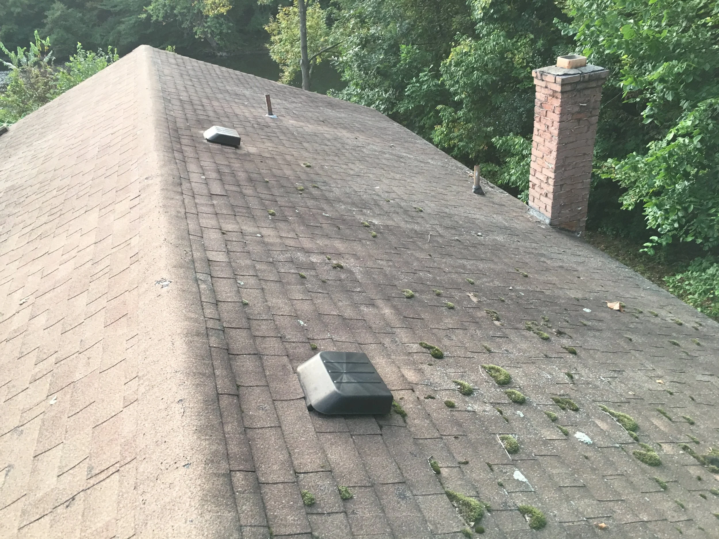 AView of a residential house roof with asphalt shingles, showing some moss and debris, a brick chimney on the right side, and a vent and antenna pipe on the roof. Surrounding green trees are visible in the background.