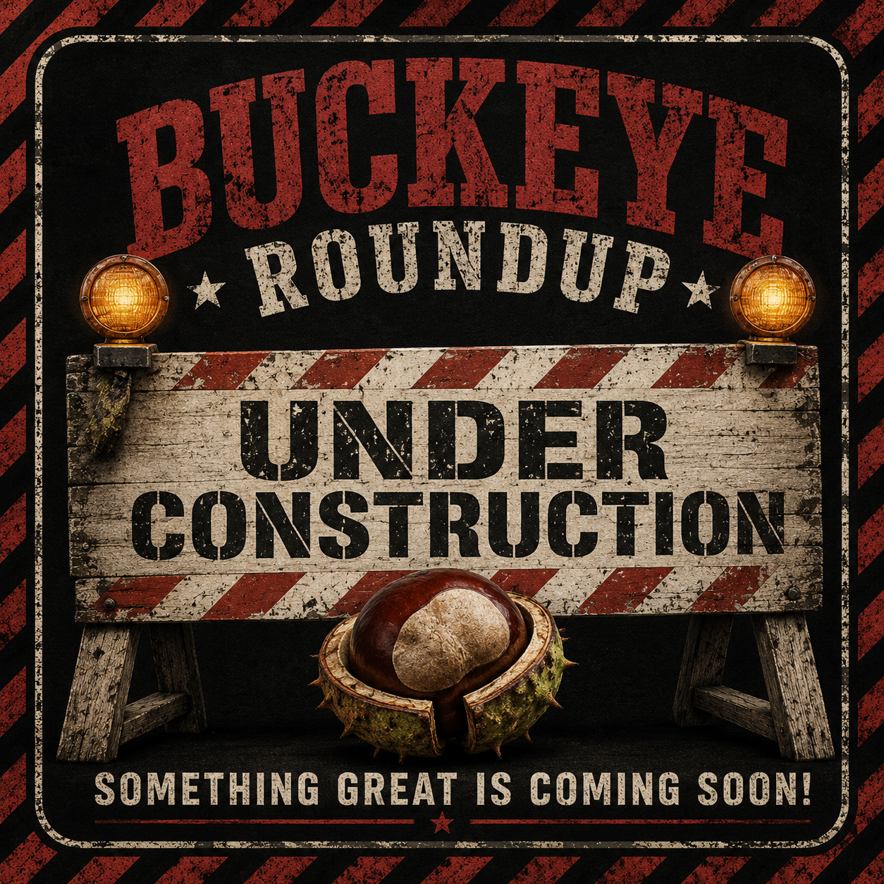 Buckey Roundup