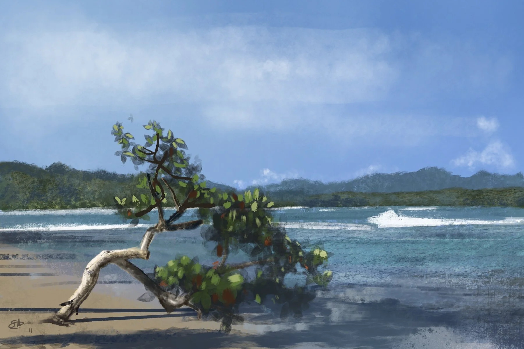 puerto viejo - 2021