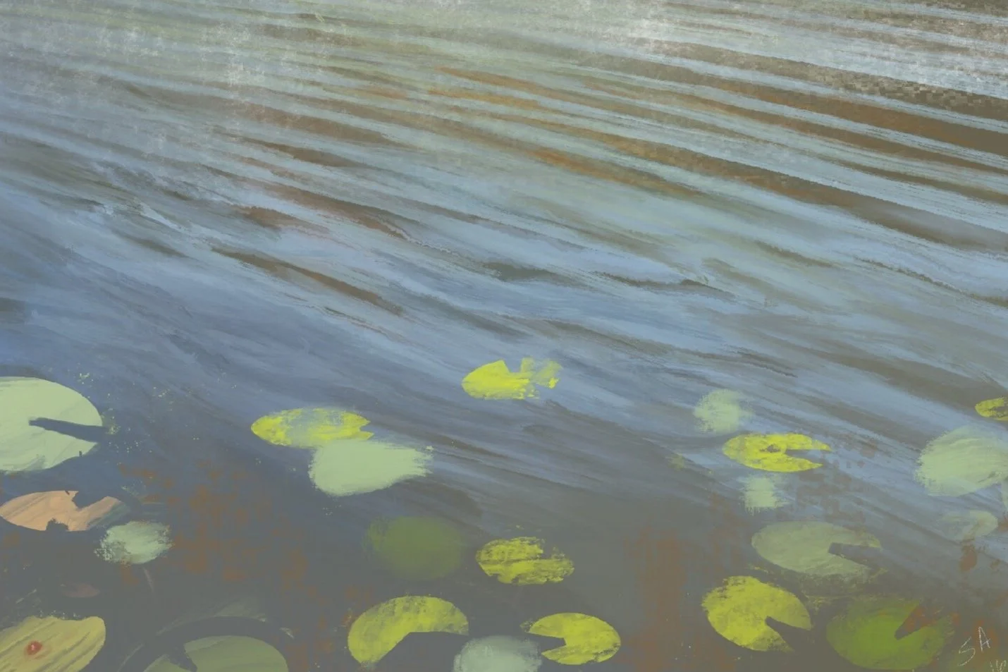 lily pads - 2021