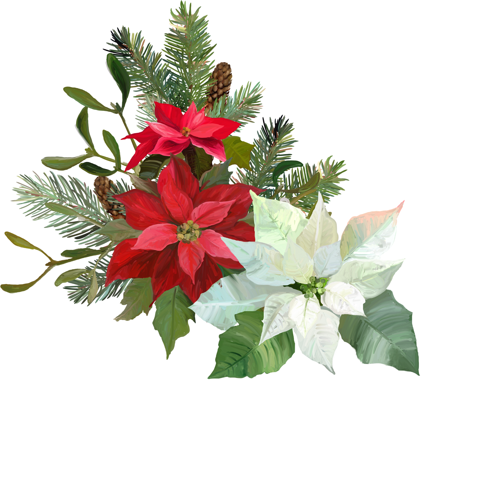 Red and white poinsettia art graphic