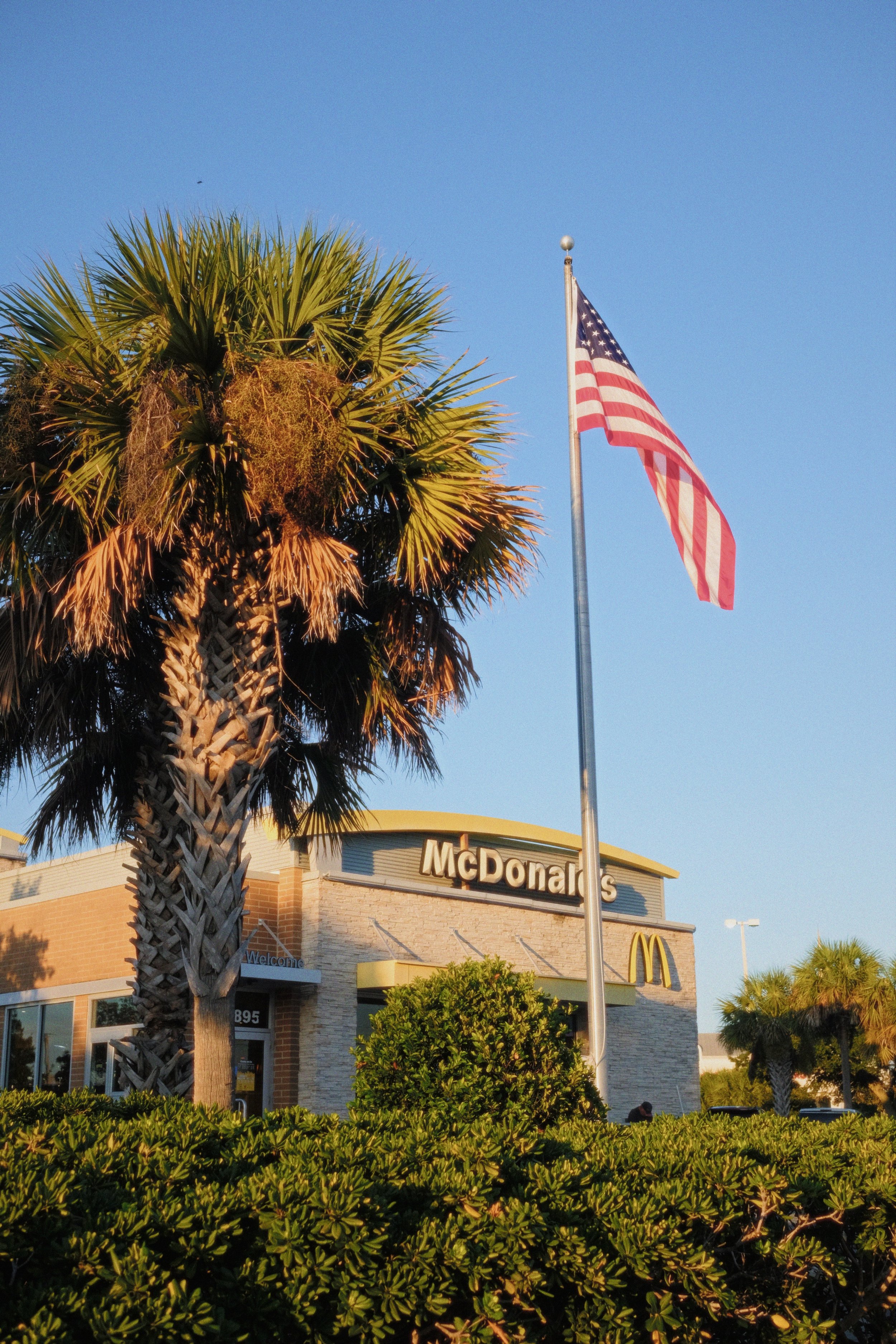A palm tree in front of a McDonald's restaurant and an American flag on a flagpole under a clear blue sky.