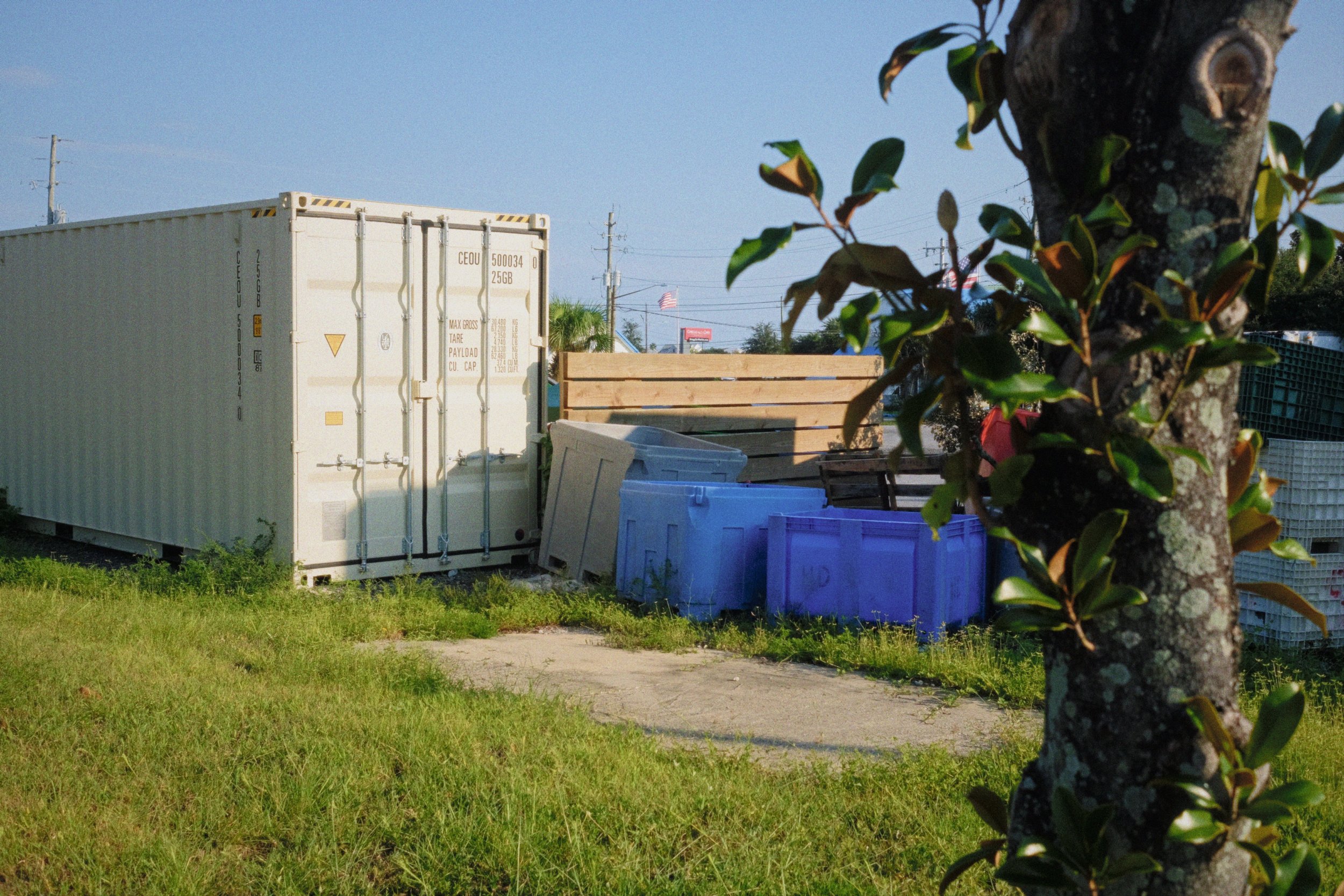 An outdoor scene showing a white shipping container, blue recycling bins, a wooden pallet, and a tree with green leaves on the right side under a clear blue sky.