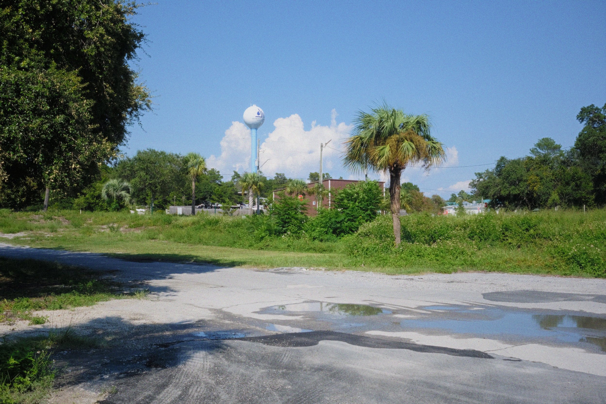 A back area with palm trees and green foliage, a water tower in the distance, and a parking lot with cars on a sunny day.