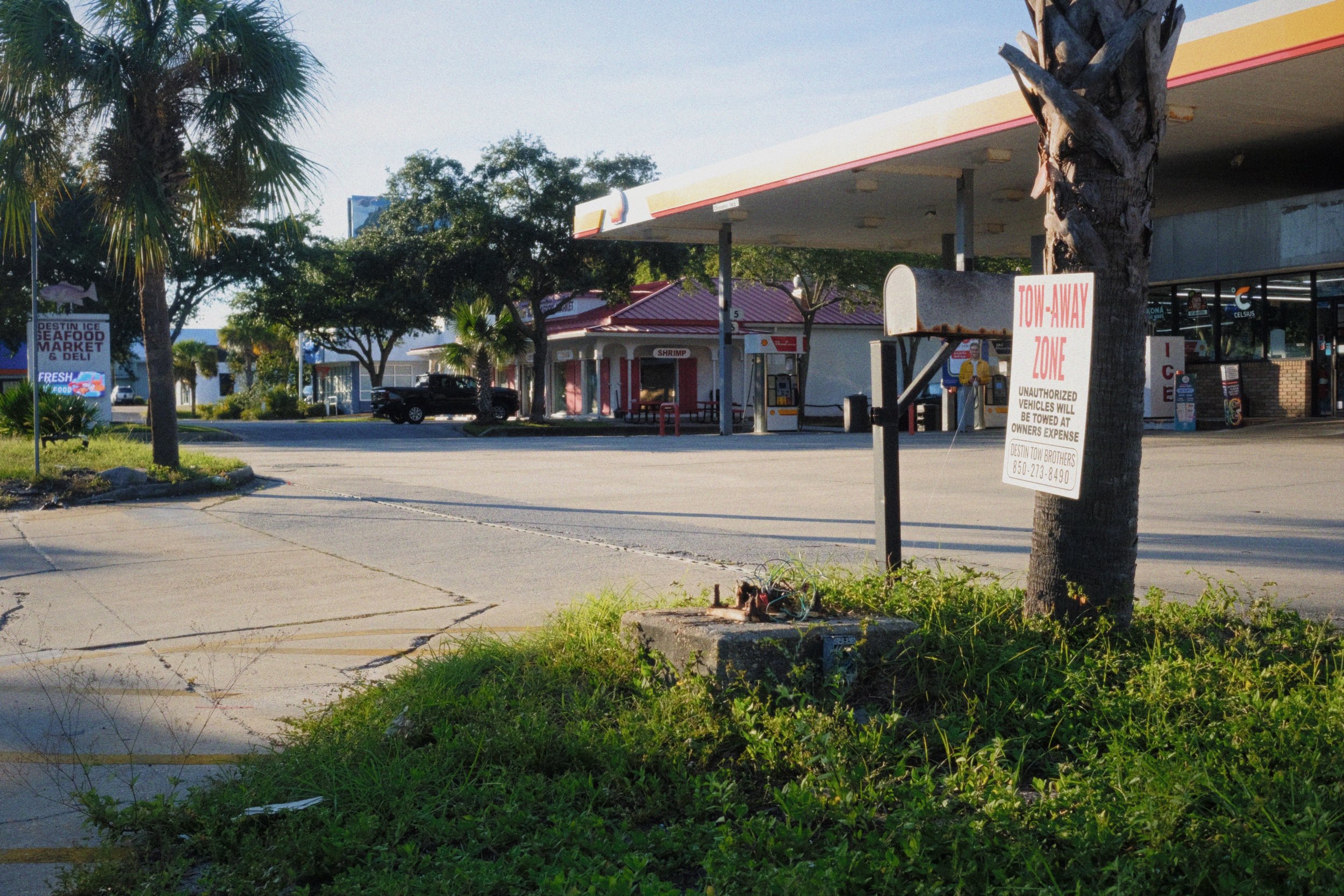 A parking lot scene with trees, a red-roofed building, and signs, including one for Destin Ice Seafood Market and a large sign on a tree indicating a tow-away zone, during daytime.