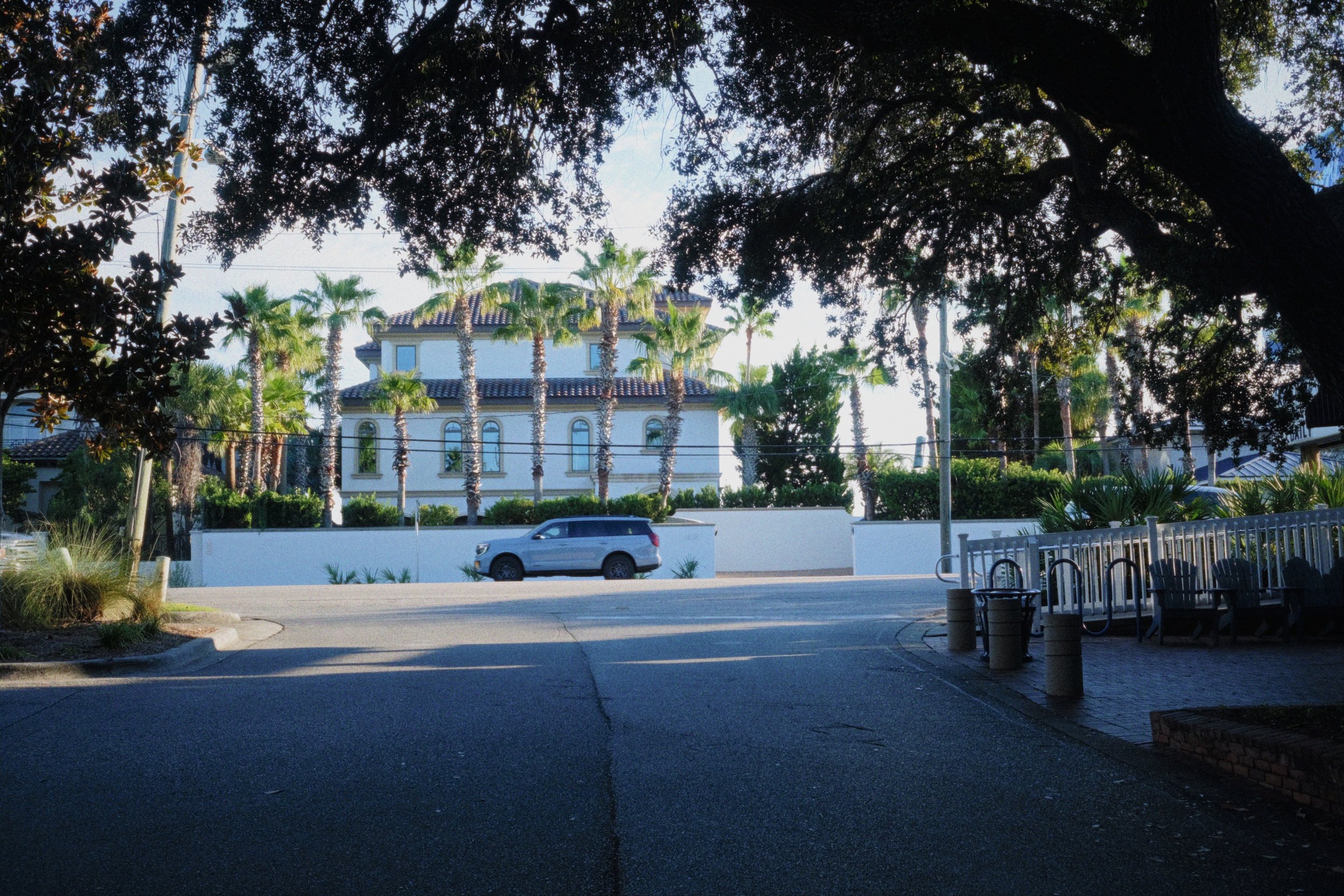A street view showing a white building with a tiled roof and palm trees in front, seen through a canopy of large tree branches and leaves, with a car driving on the street and a seating area with benches on the right.