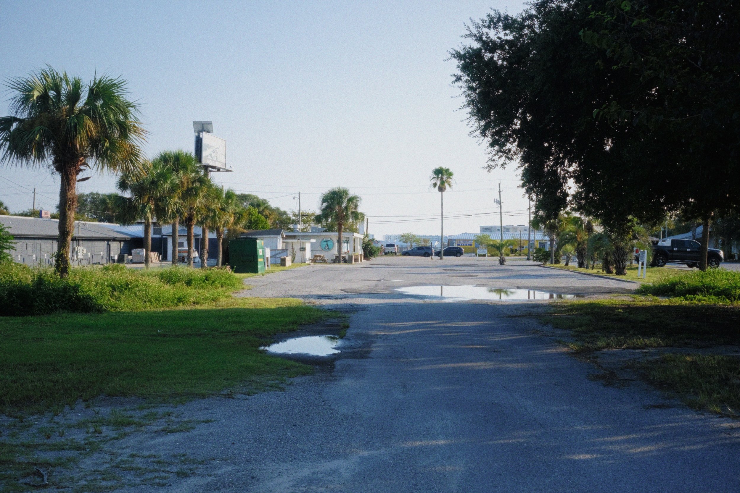 A parking lot with some puddles, surrounded by palm trees and greenery, with a building and vehicles in the background.