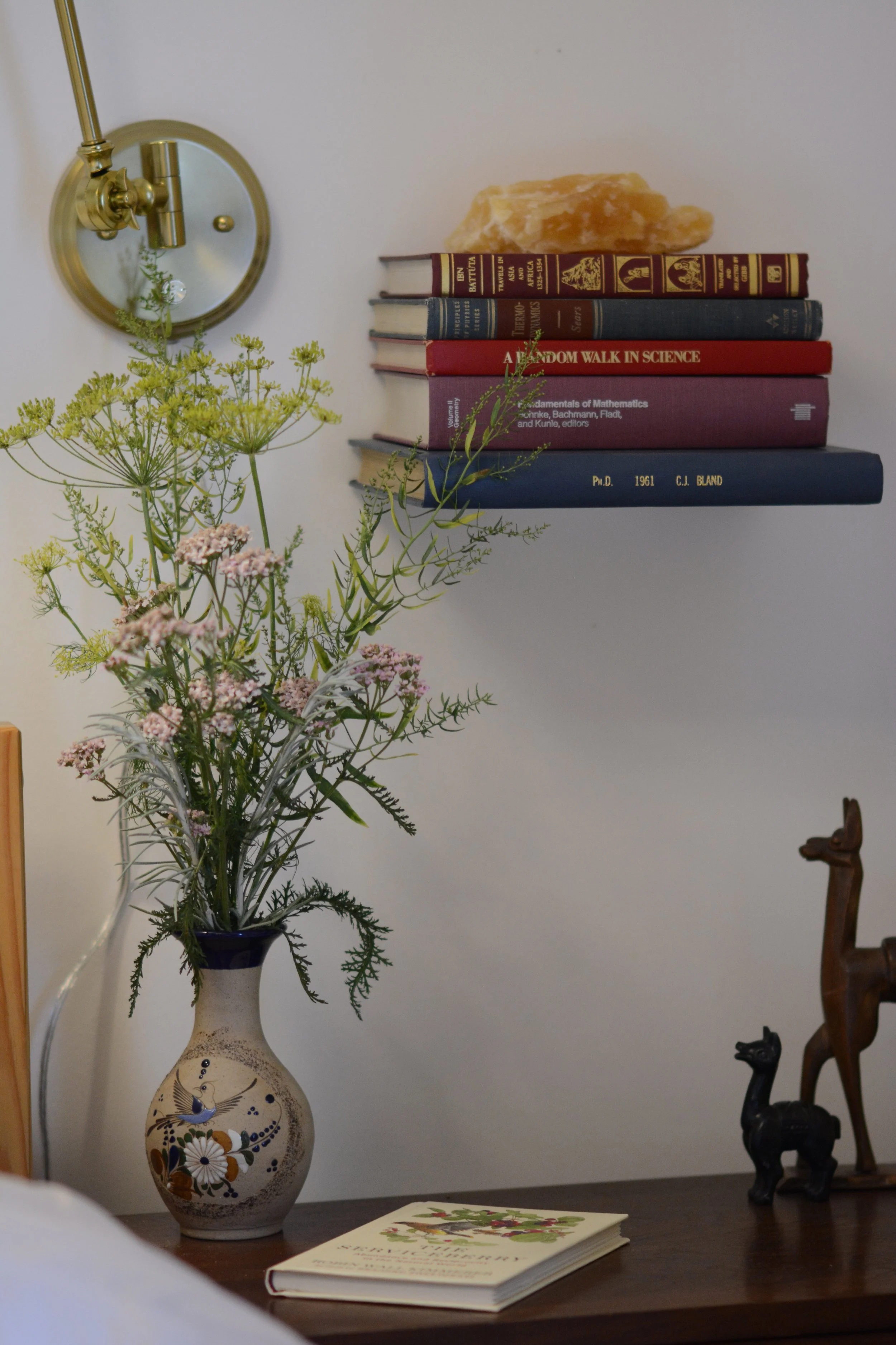 DSC_7272.jpeg