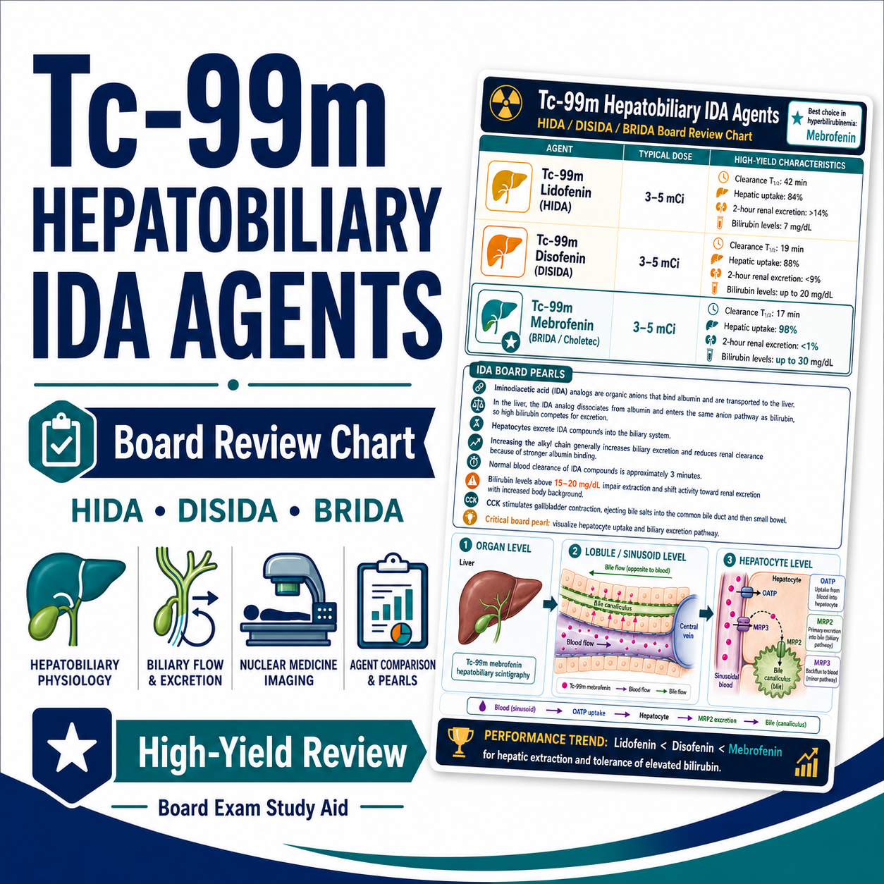 NM Hepatobiliary Quick Review