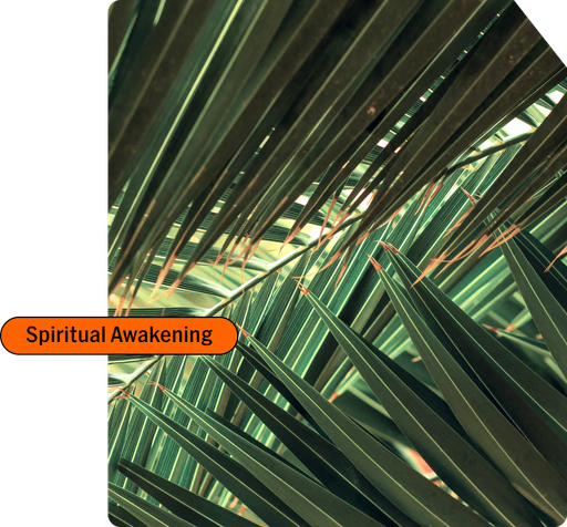 Close-up of green palm leaves with a label reading 'Spiritual Awakening' in orange.