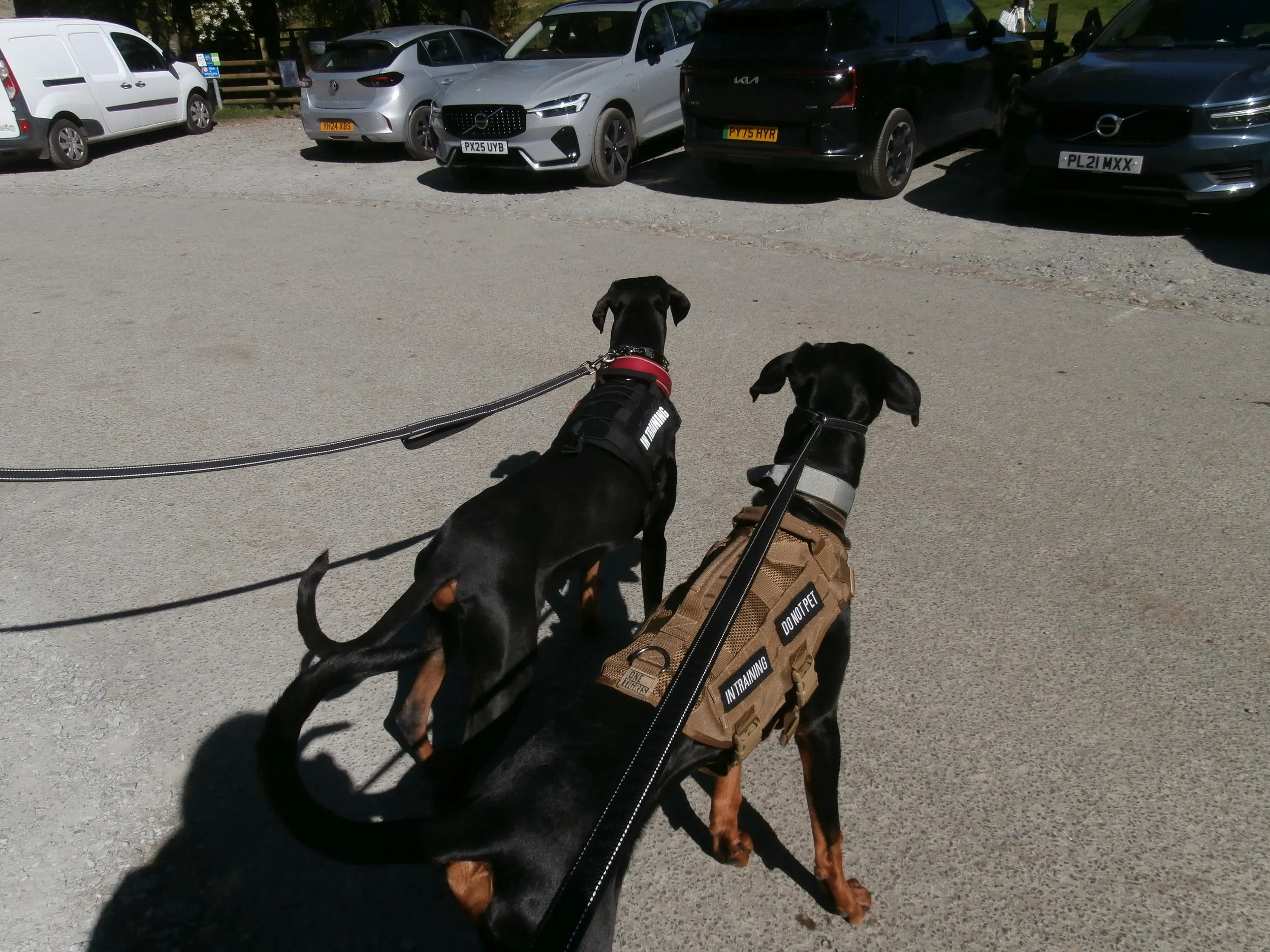 24b9e8fe-e914-44e6-b4f9-2e755face55f.JPG