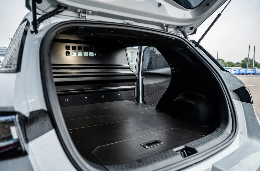 BYD-DOLPHIN-Cargo-e-Van-load-area.jpg