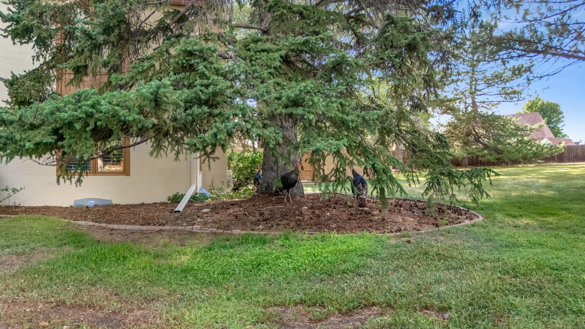 52-web-or-mls-3737 W 20th St 52.jpg